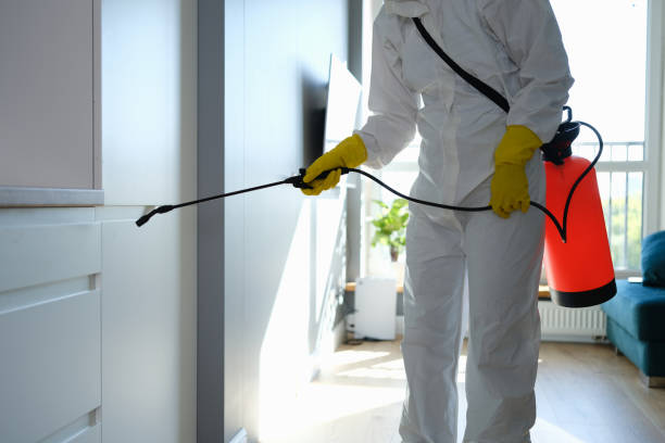 Best Emergency Mold Remediation  in Sublimity, OR